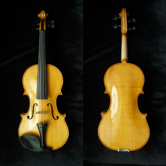 Violin #12